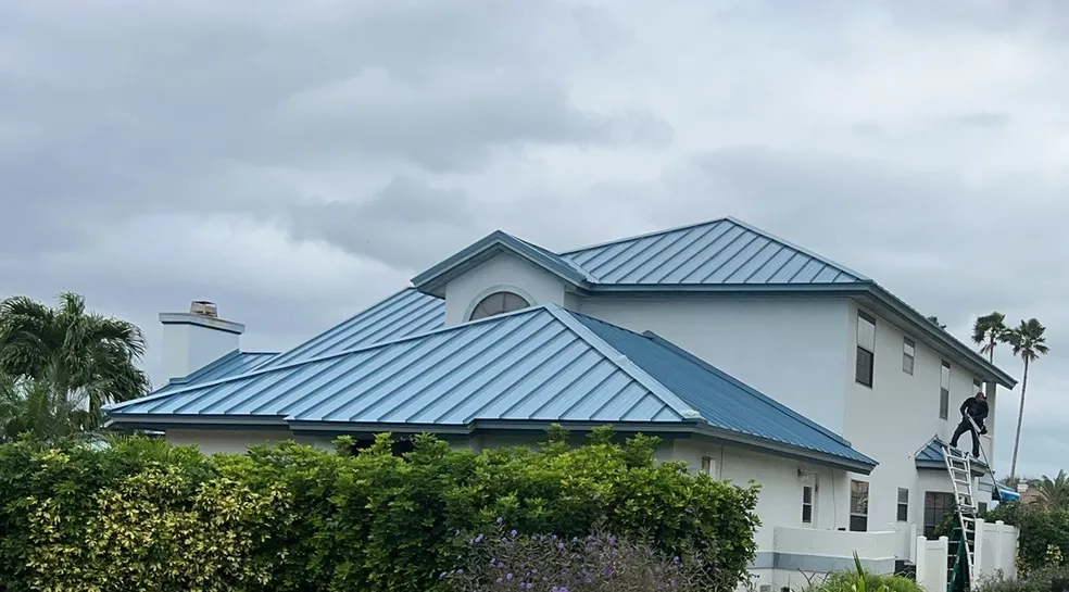 Blue Roof 1